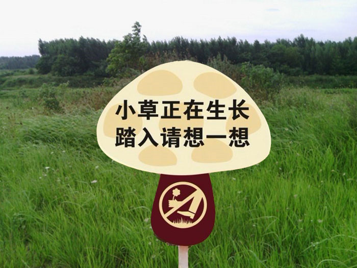 草地牌