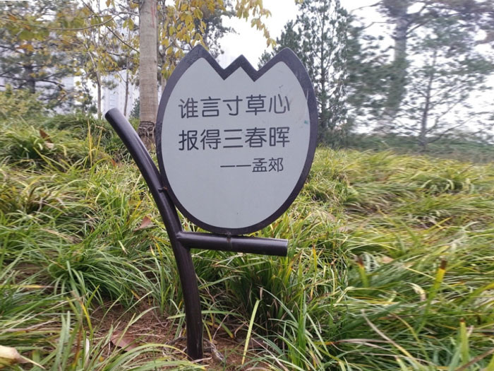 草地牌